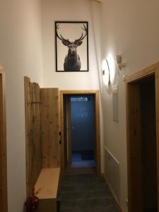 Fotografie z fotogalerie ubytování Chalet Glemmtal - Haus Bergblick v destinaci Viehhofen