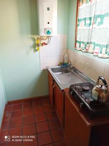 Una pequeña cocina con estufa y fregadero. en Mis Casitas, en Chajarí