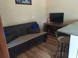 a living room with a couch and a television at Acomodação chalé entre capitolio e escarpas do lago in Capitólio