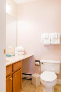 a bathroom with a toilet and a sink and a mirror at Vantage Point Villas at Stratton Mountain Resort in Stratton Mountain