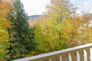 Gallery image of Vantage Point Villas at Stratton Mountain Resort in Stratton Mountain +12 photos