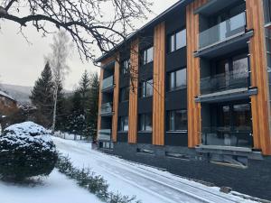 Apartmán ROKY 6 v zimě