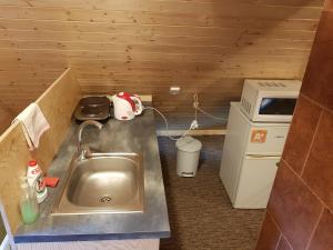 a small kitchen with a sink in a cabin at Apartments V Zatáčce in Albrechtice v Jizerských horách