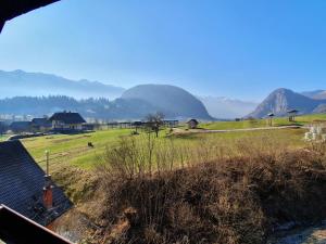 une vue d'un champ avec des montagnes en arrière-plan dans l'établissement Apartmaji Pavc, à Bohinj
