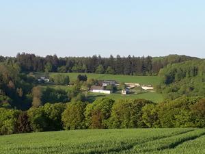 una vista aerea di una casa in mezzo a un campo di Ferienwohnung Eiernest a Briedeler Heck
