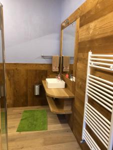 a bathroom with a sink and a mirror at Agriturismo Gli Elfi in Aosta