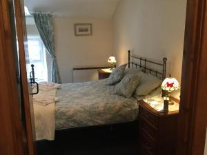 1 dormitorio con 1 cama con 2 mesitas de noche y 2 lámparas en bryn cilio en Beddgelert