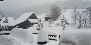 U Janka durante l'inverno