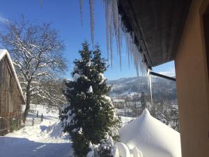 U Janka durante l'inverno