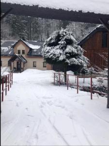 un patio cubierto de nieve con un árbol y un edificio en Apartmán na horách, Plešivec en Pstruží