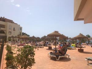 Hostia v ubytovaní Estudio Luxury Primera Linea de Playa Almuñecar Parking Gratuito