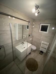 ein Bad mit einem Waschbecken, einer Dusche und einem WC in der Unterkunft Apartman Bilivano in Zagreb