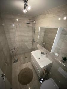 a bathroom with a sink and a shower and a toilet at Apartman Bilivano in Zagreb