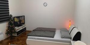 TV a/nebo společenská místnost v ubytování Apartment Cakic