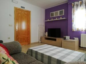 a living room with a couch and a tv at Antigua escuela in Cañada Vellida