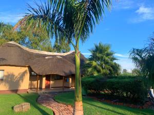 哈拉雷的住宿－Riverstone Guest Lodge，茅草屋顶房子前面的棕榈树