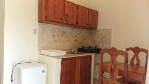 Kuchyň nebo kuchyňský kout v ubytování Hotel Magic Tropical