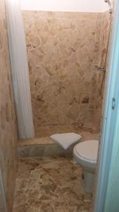 a bathroom with a toilet and a stone shower at Hotel Magic Tropical in Boca Chica