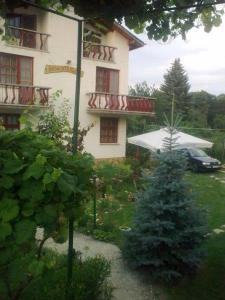 O grădină în afara Veselata Guest House