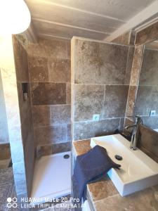 ein Bad mit einem Waschbecken und einer Dusche in der Unterkunft Charmante maison en Provence in Fontvieille