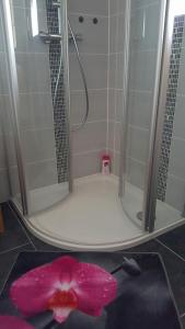 ein Badezimmer mit einer Dusche mit einem rosa Gegenstand auf dem Boden in der Unterkunft Les Combles des Murailles in Champéry