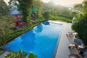 an overhead view of a large blue swimming pool at Dream Catcher Plantation Resort in Munnar