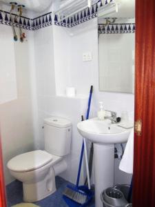 La salle de bains est pourvue de toilettes et d'un lavabo. dans l'établissement Apartamento Terranova Esquina Placeta, à Alhama de Granada