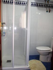 a shower in a bathroom with a toilet at Apartamento Terranova Esquina Placeta in Alhama de Granada