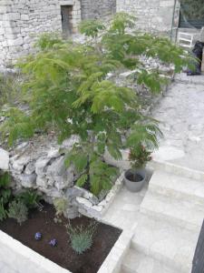 Zahrada ubytování Apartmani Adam