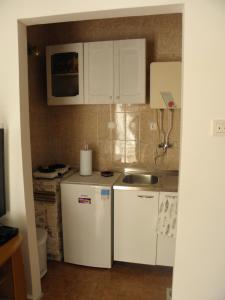 Kuchyň nebo kuchyňský kout v ubytování Apartmani Adam