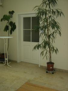 Zimmer mit Tür und Topfpflanze in der Unterkunft Gästehaus "Rendezvous am Schlossplatz" in Coburg