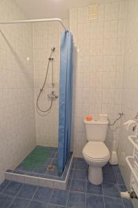 a bathroom with a toilet and a shower with a blue shower curtain at Zielone Wzgórze in Karpacz