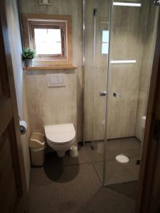 a bathroom with a toilet, sink, and shower at Trollveggen Camping in Åndalsnes
