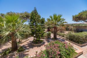 a garden with palm trees and other plants at Le Villette di Villa Aurora in Lampedusa