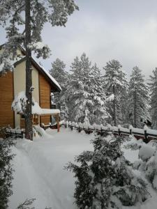 a cabin covered in snow in the woods at Apartmani Sredojevic in Kaludjerske Bare