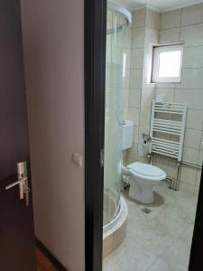 a bathroom with a toilet and a window at Casa Anemyra in Braşov