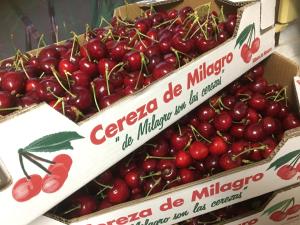 Galeriebild der Unterkunft La Casa del Hilario in Milagro