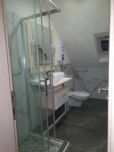 a bathroom with a glass shower and a toilet at Haus Schneider in Winterberg
