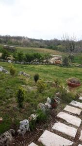 un giardino con sentiero in pietra in un campo di B&B NUZZI a Cassano delle Murge