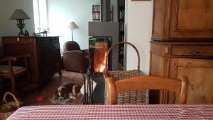 un perro tirado en el suelo frente a una chimenea en Chambre d'hôte Montlivault / Chambord, en Montlivault