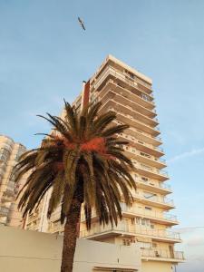 Fotografia z galérie ubytovania MarDeFons v destinácii Platja  d'Aro