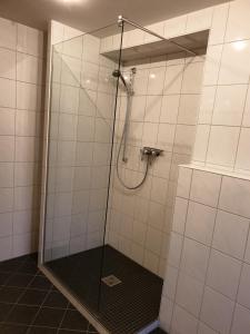 a shower with a glass door in a bathroom at Appartement Schepper's in Trier