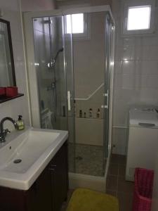 La salle de bains est pourvue d'une douche et d'un lavabo. dans l'établissement Suite Clémenceau 82, à Reims