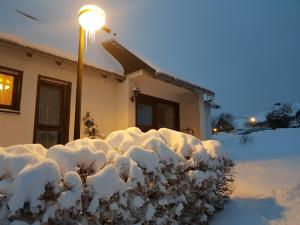 una siepe ricoperta di neve accanto a un palo della luce di Haus Schneider a Winterberg