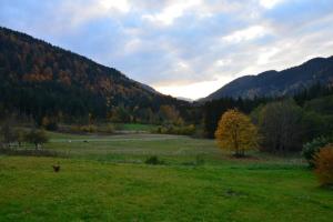 Fotografie z fotogalerie ubytování gîte de la cheneau v destinaci Rochesson