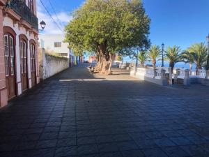 a street with a tree on the side of a building at CASA VILA in Garafía
