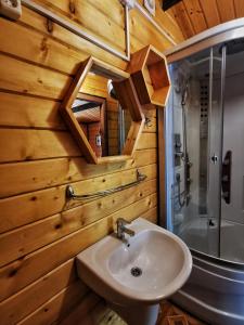 W łazience znajduje się umywalka i prysznic. w obiekcie Domki Pod Wzgórzem w Polańczyku