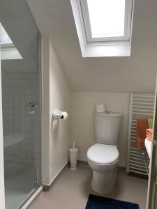 a bathroom with a toilet and a shower with a skylight at Herb Cottage in Bradford on Avon