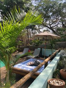 a swimming pool with an umbrella and some plants at Pousada Santa Vila in Serra do Cipo