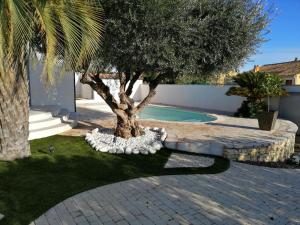 a tree sitting in the grass next to a swimming pool at Villa Ancolie climatisée avec piscine chauffée de mai à septembre in Magalas